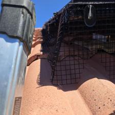 Top-quality-Solar-panel-bird-proofing-in-Desert-Hot-Springs-Ca 4